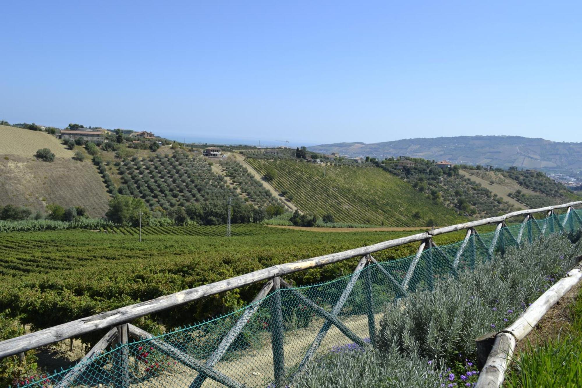 مونتيبراندون Agriturismo Il Sapore Della Luna المظهر الخارجي الصورة