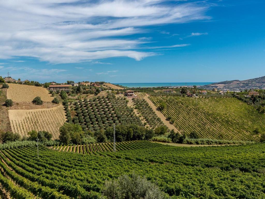 مونتيبراندون Agriturismo Il Sapore Della Luna المظهر الخارجي الصورة